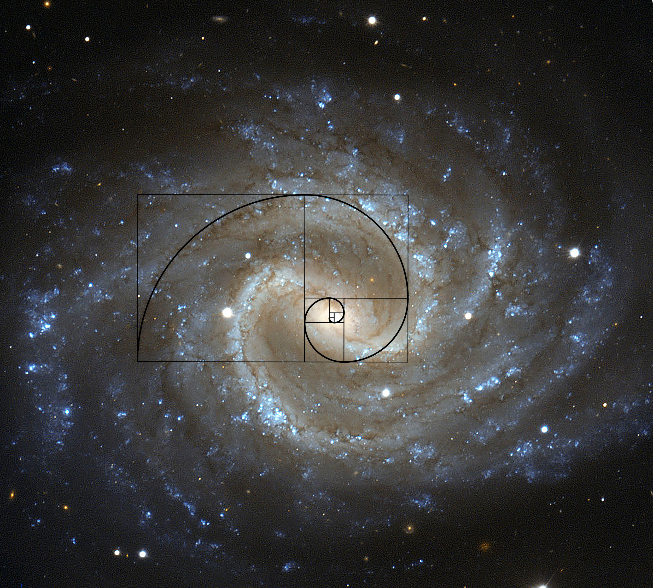 NGC 1365
