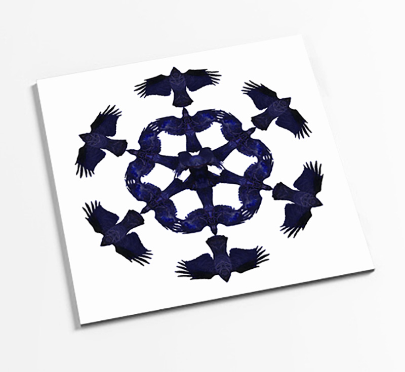 13: The Counting Corvids Book
