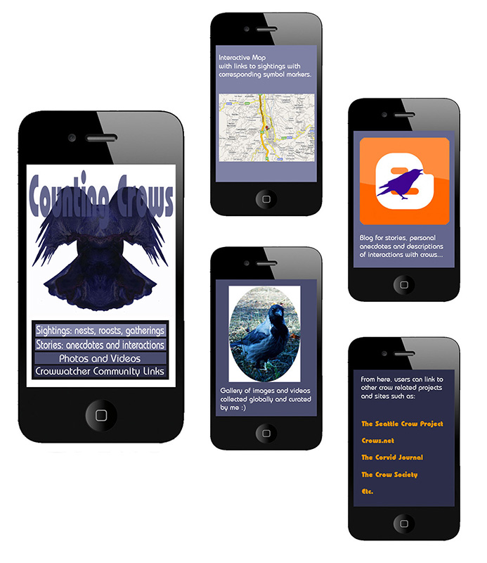 Counting Corvids Smartphone App