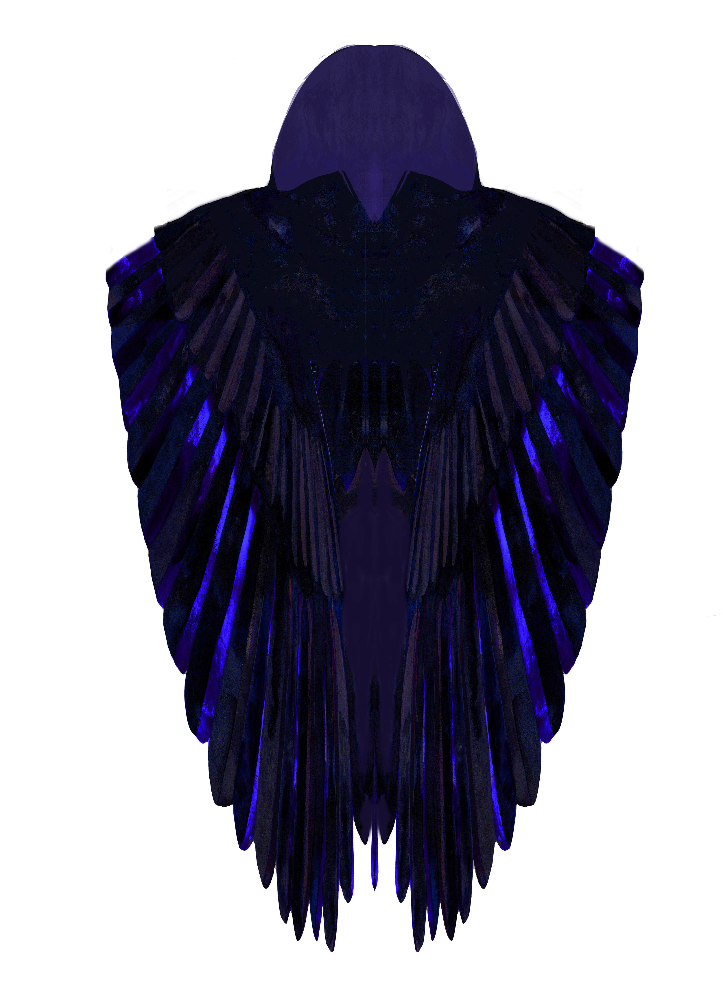 American Crow Cape (front)