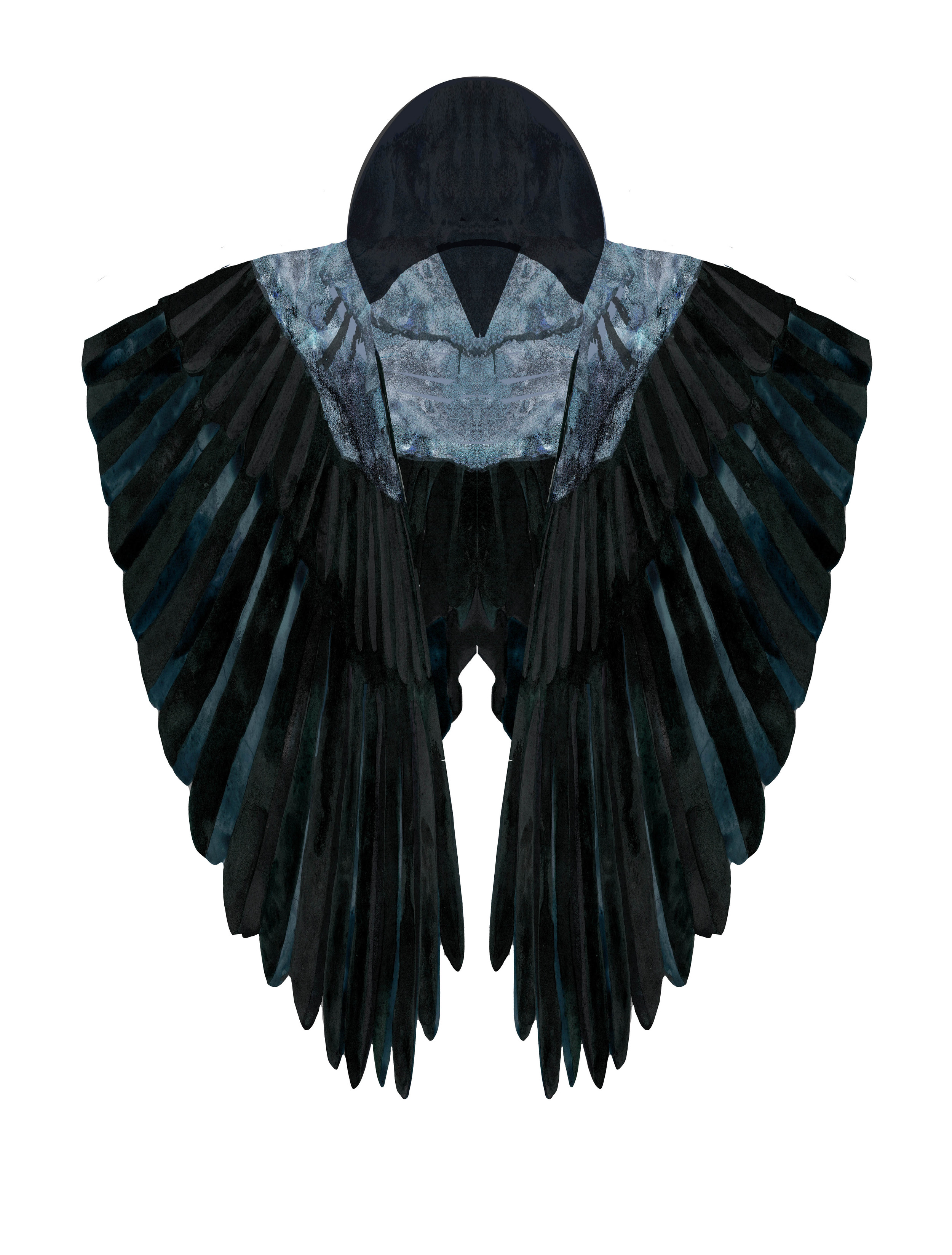 Hooded Crow Cape (front)