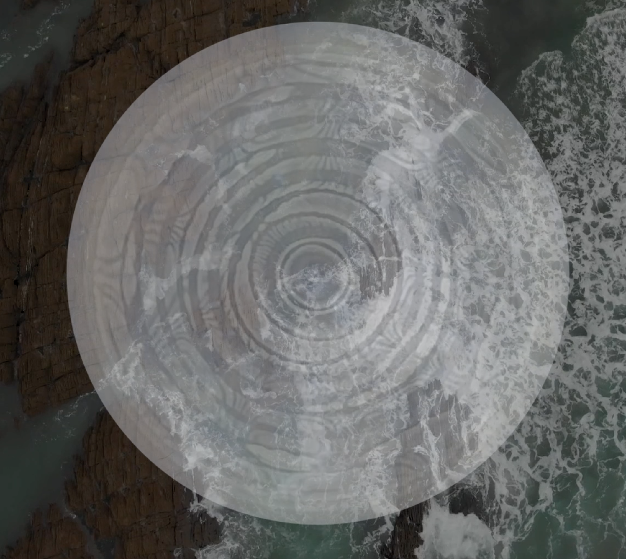 Homo Sapiens Still 1.png