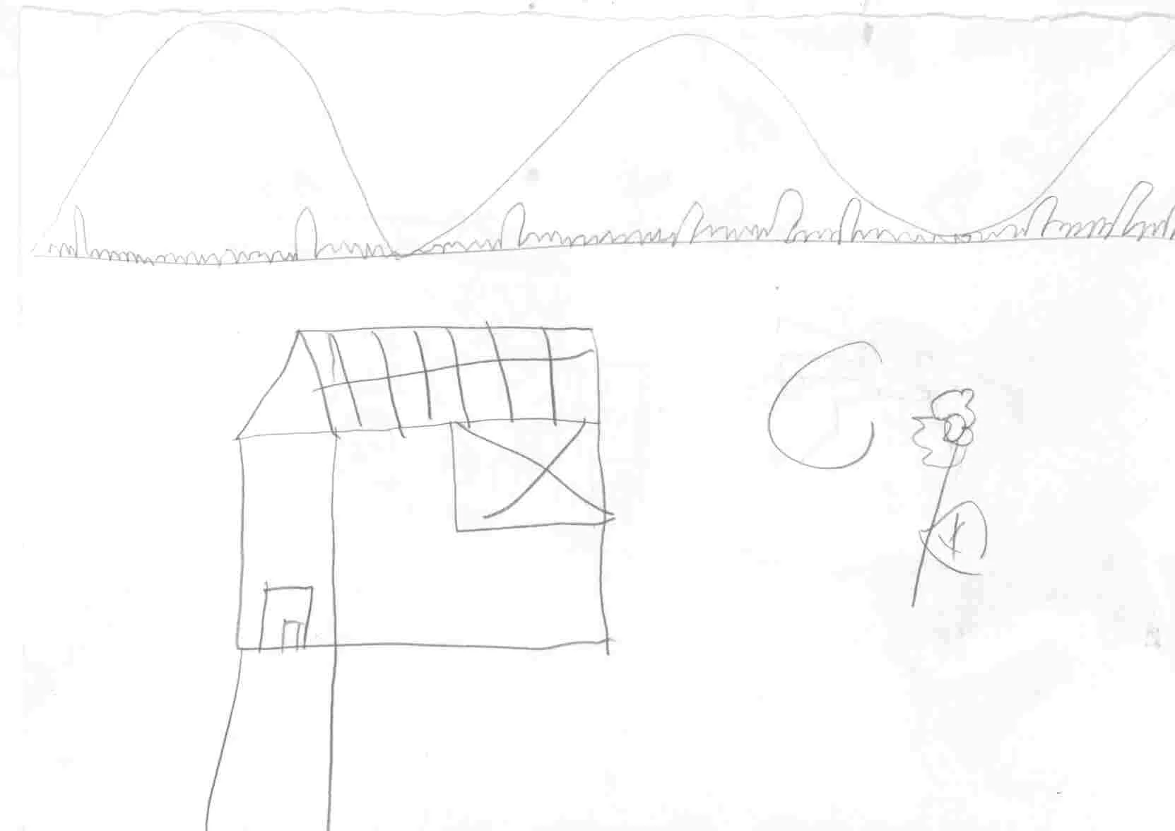 MGhouse11.jpg