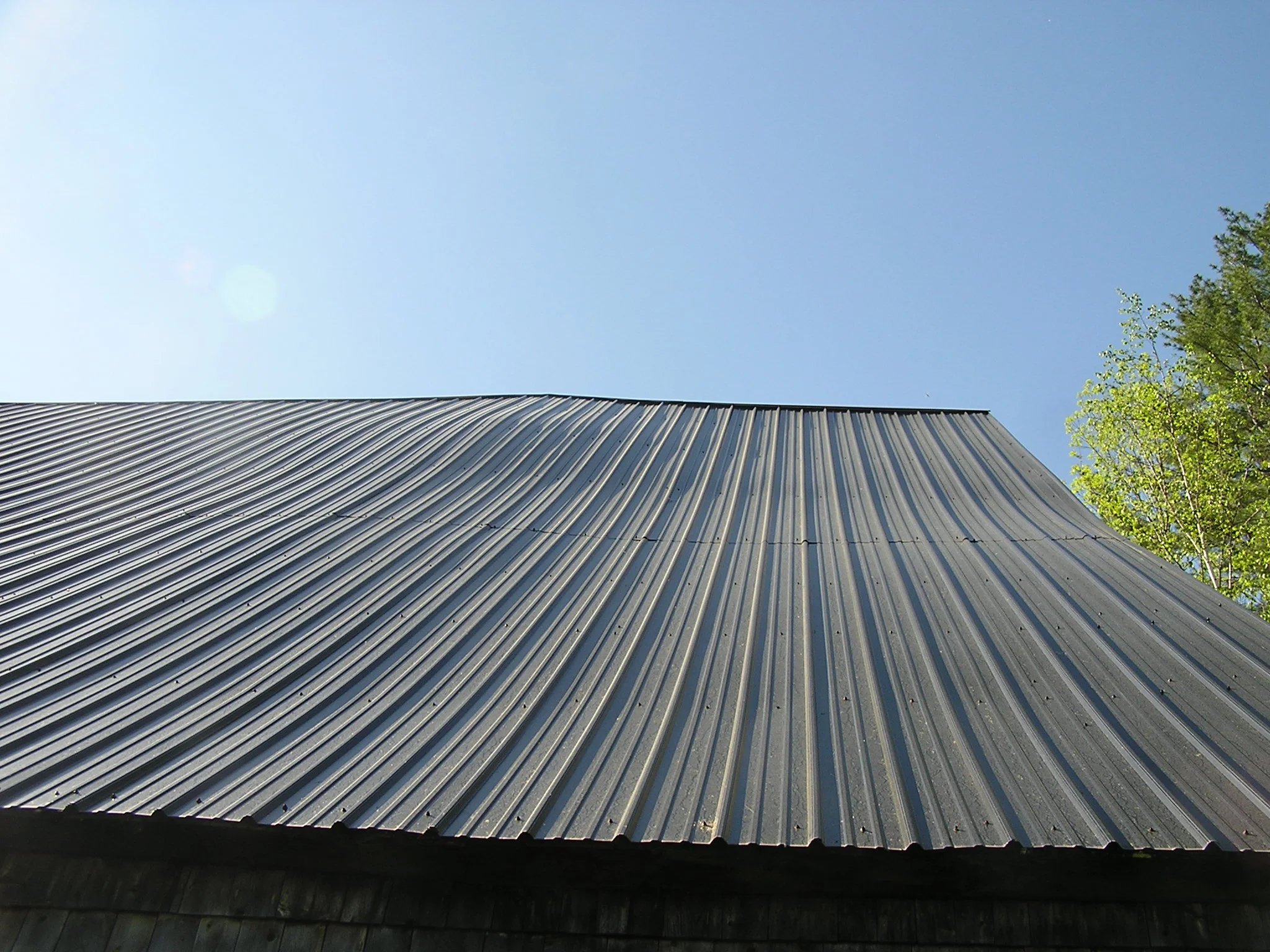 As sills slowly rot they cause an uneven settling of the barn into the earth. The bump in this roof is evidence of that.