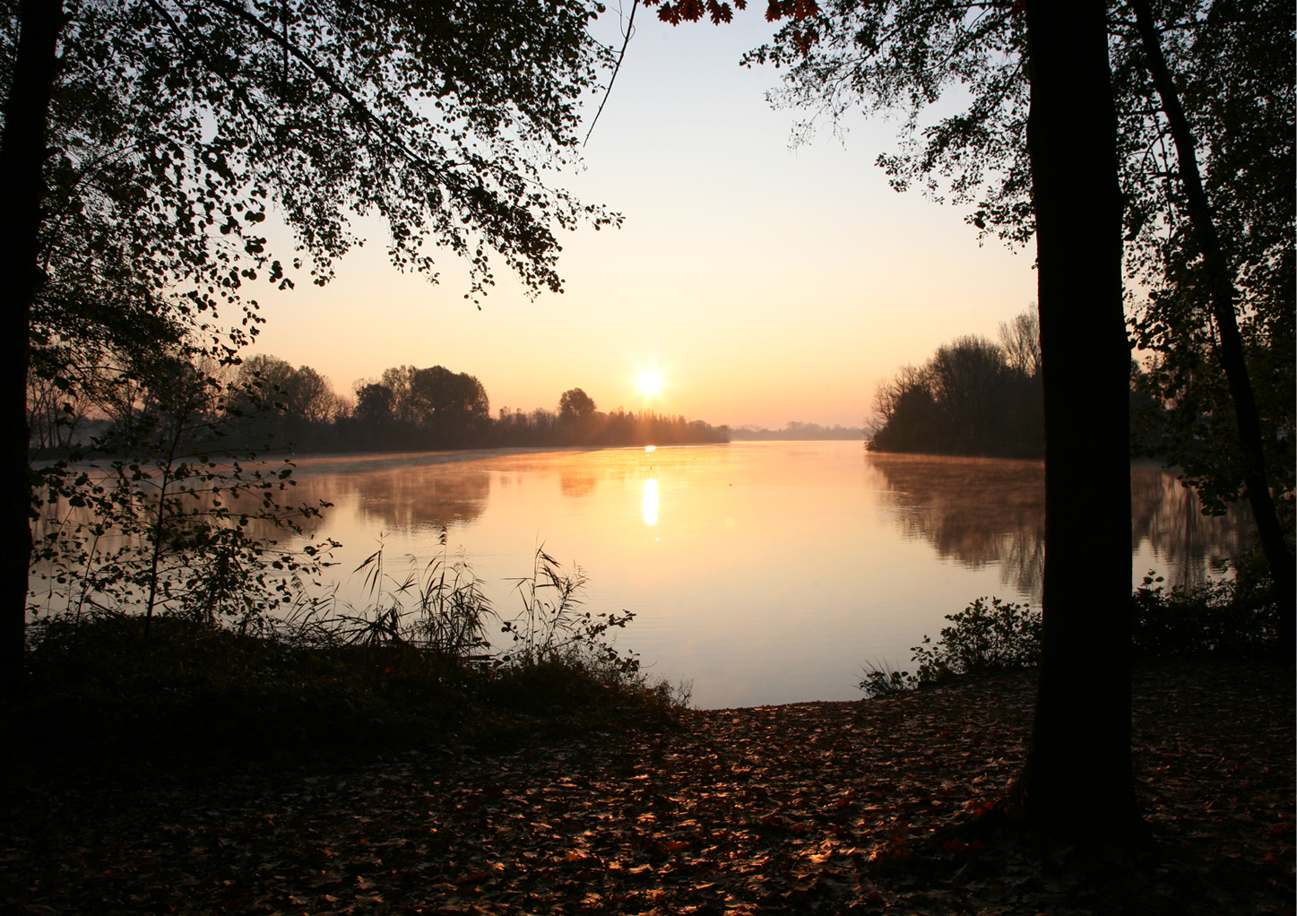 PG-LAGO1-2.jpg