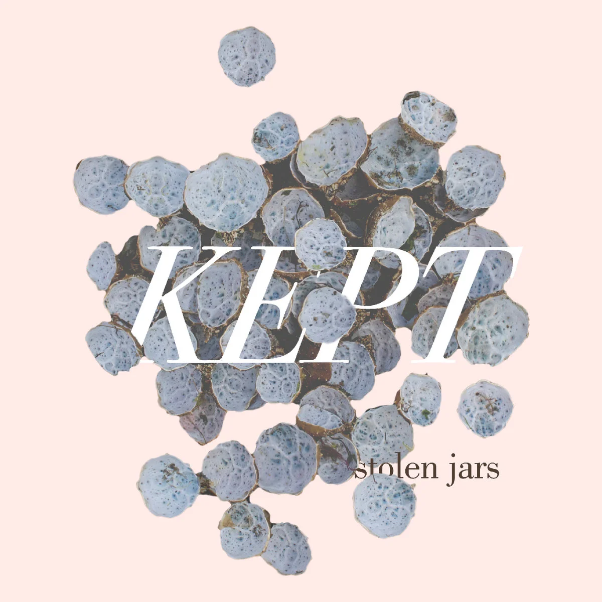 Fandcamp: Kept
