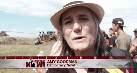 dapl_goodman.gif