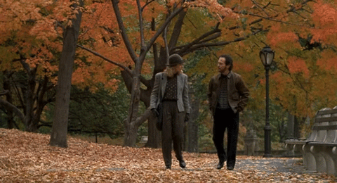 giphy-1.gif