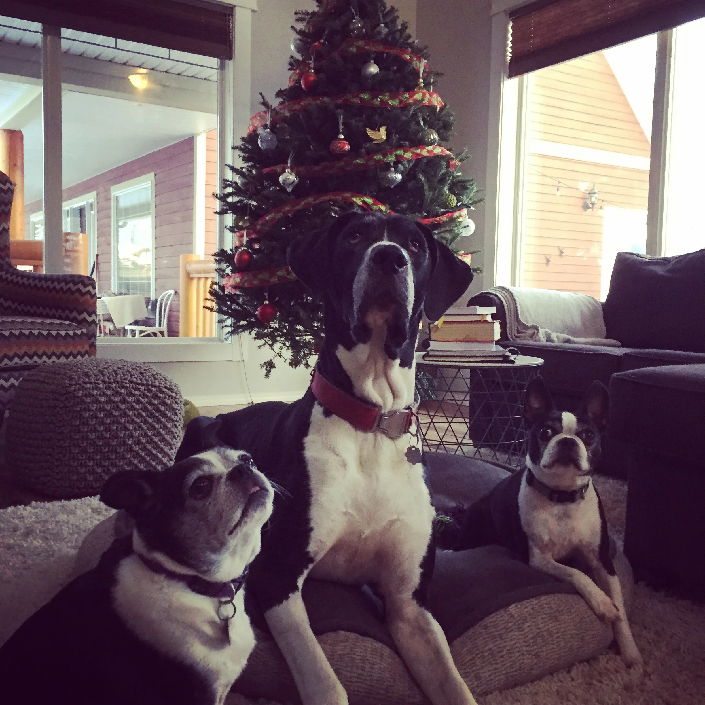 SubmitCloud | December 2018