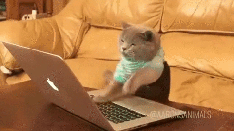 Live footage of me writing out feedback for declines
