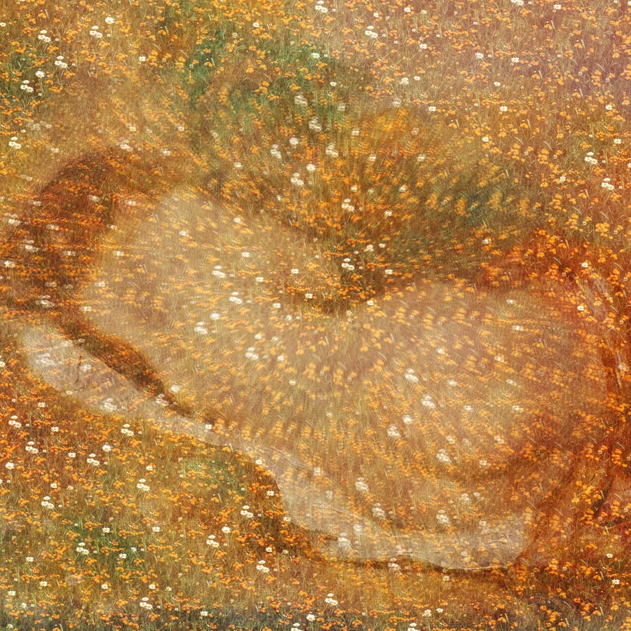 a3018138386_10.jpg