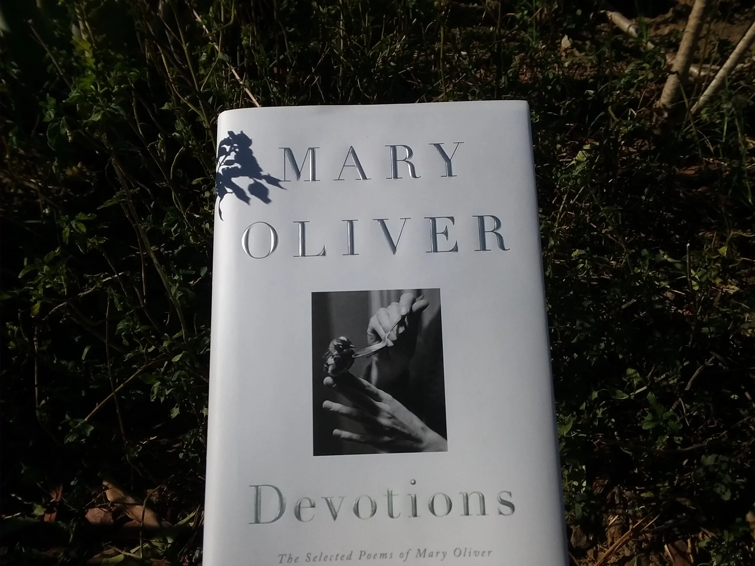 devotions.jpg