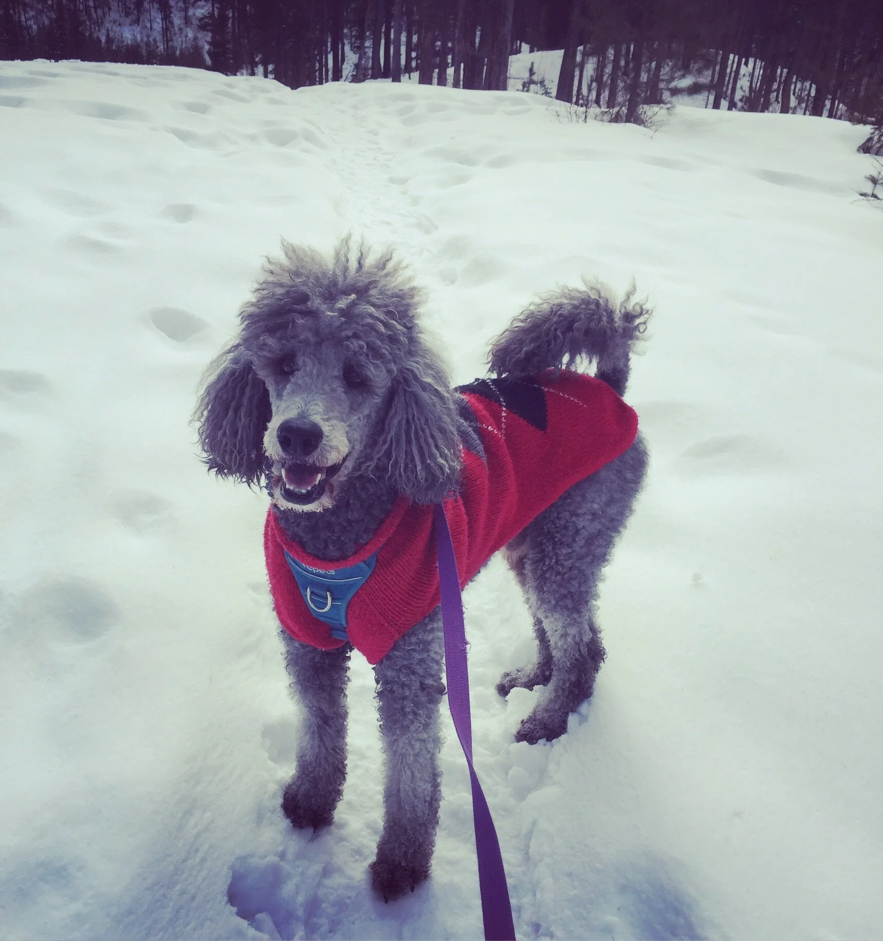 SubmitCloud | March 2020