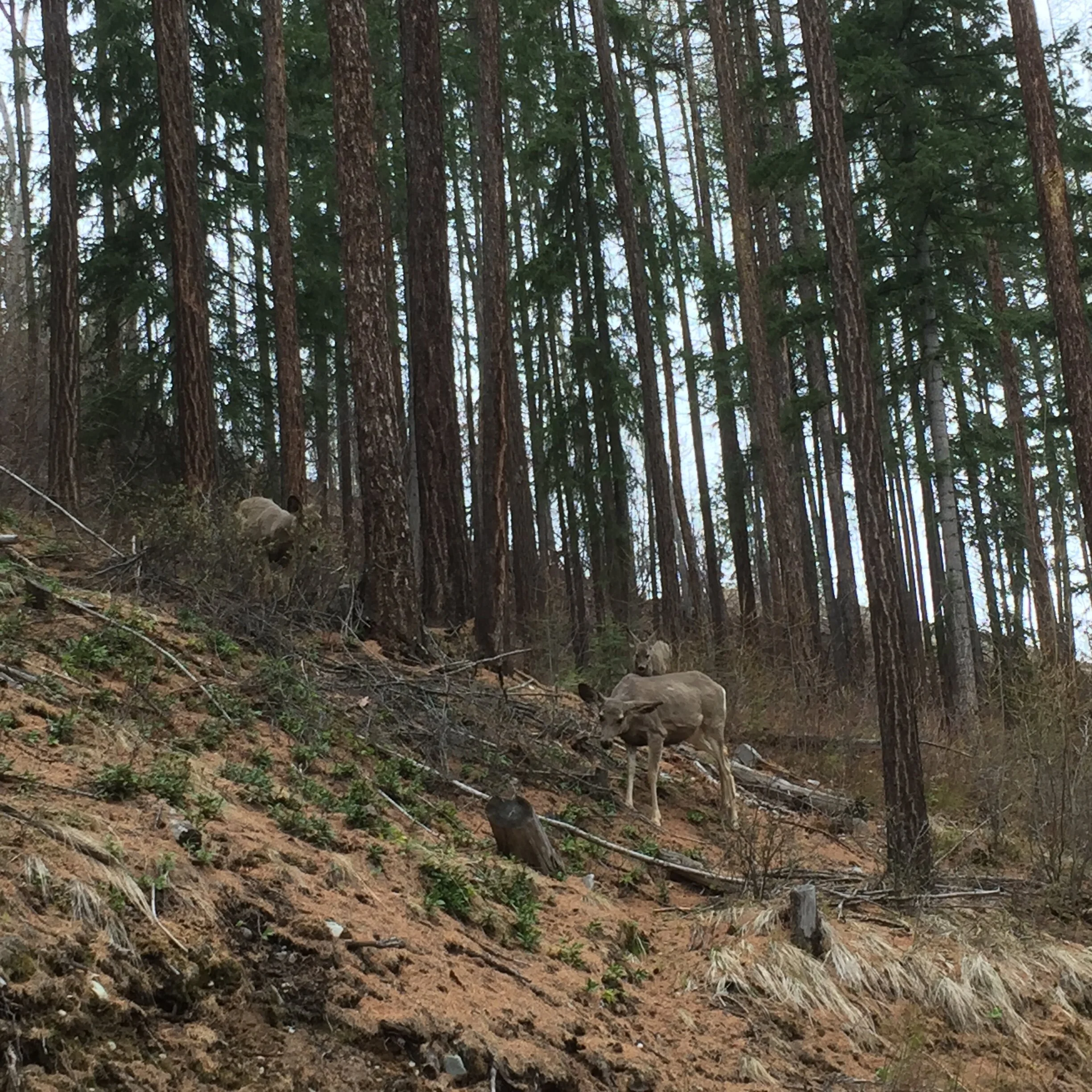 SubmitCloud | May 2021