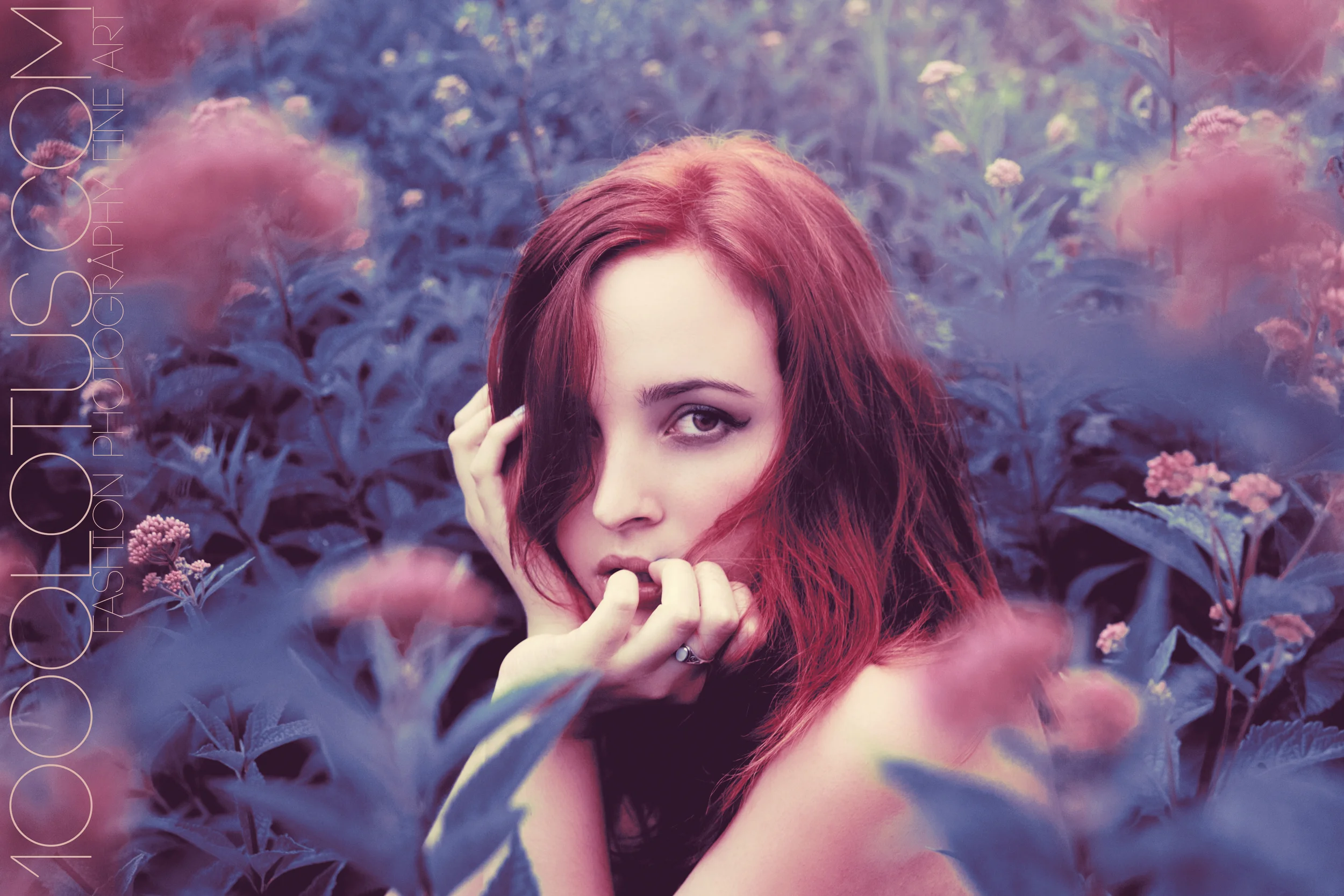 3 eye light 1000lotus.jpg