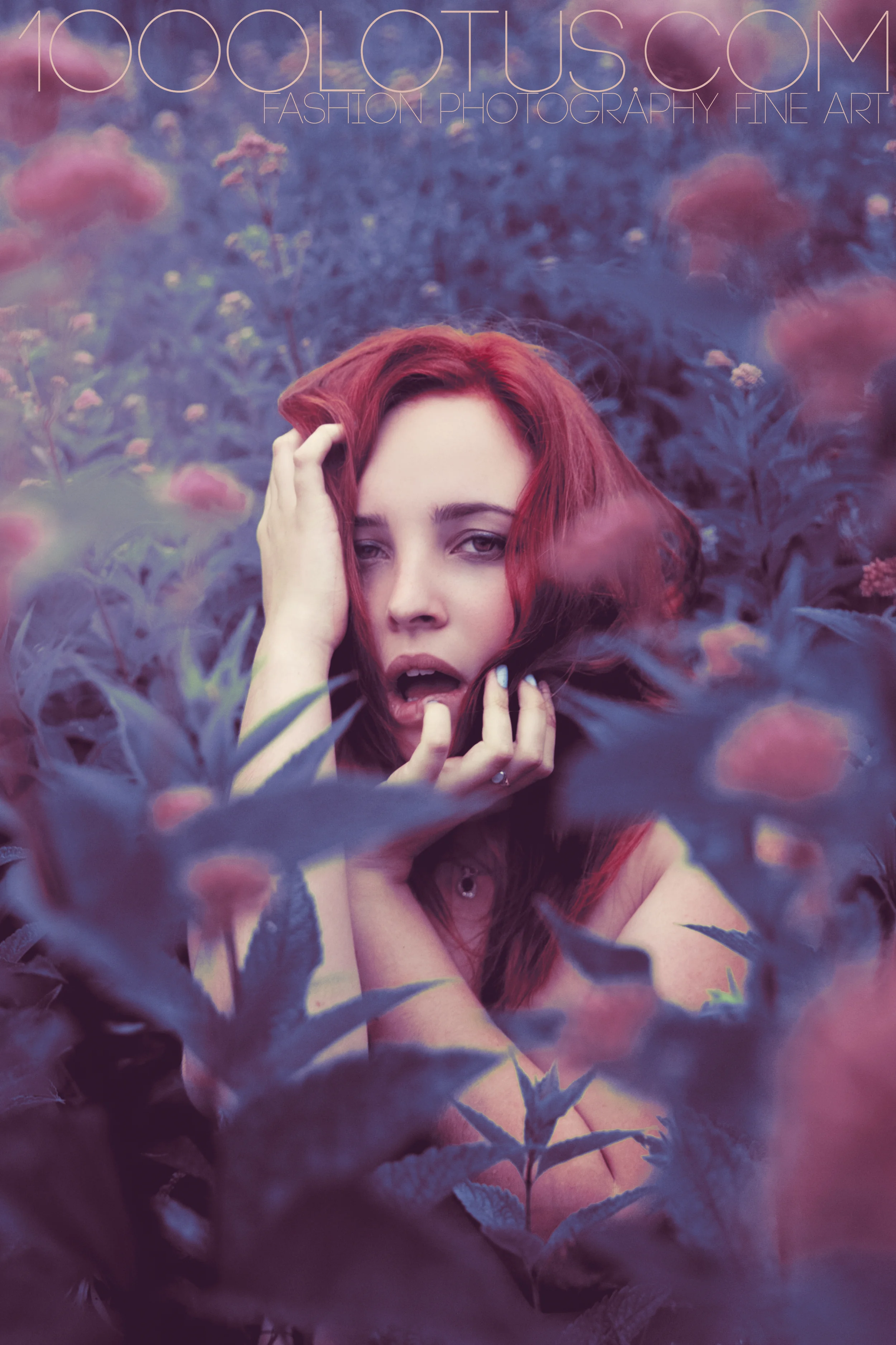 2 light 1000lotus.jpg