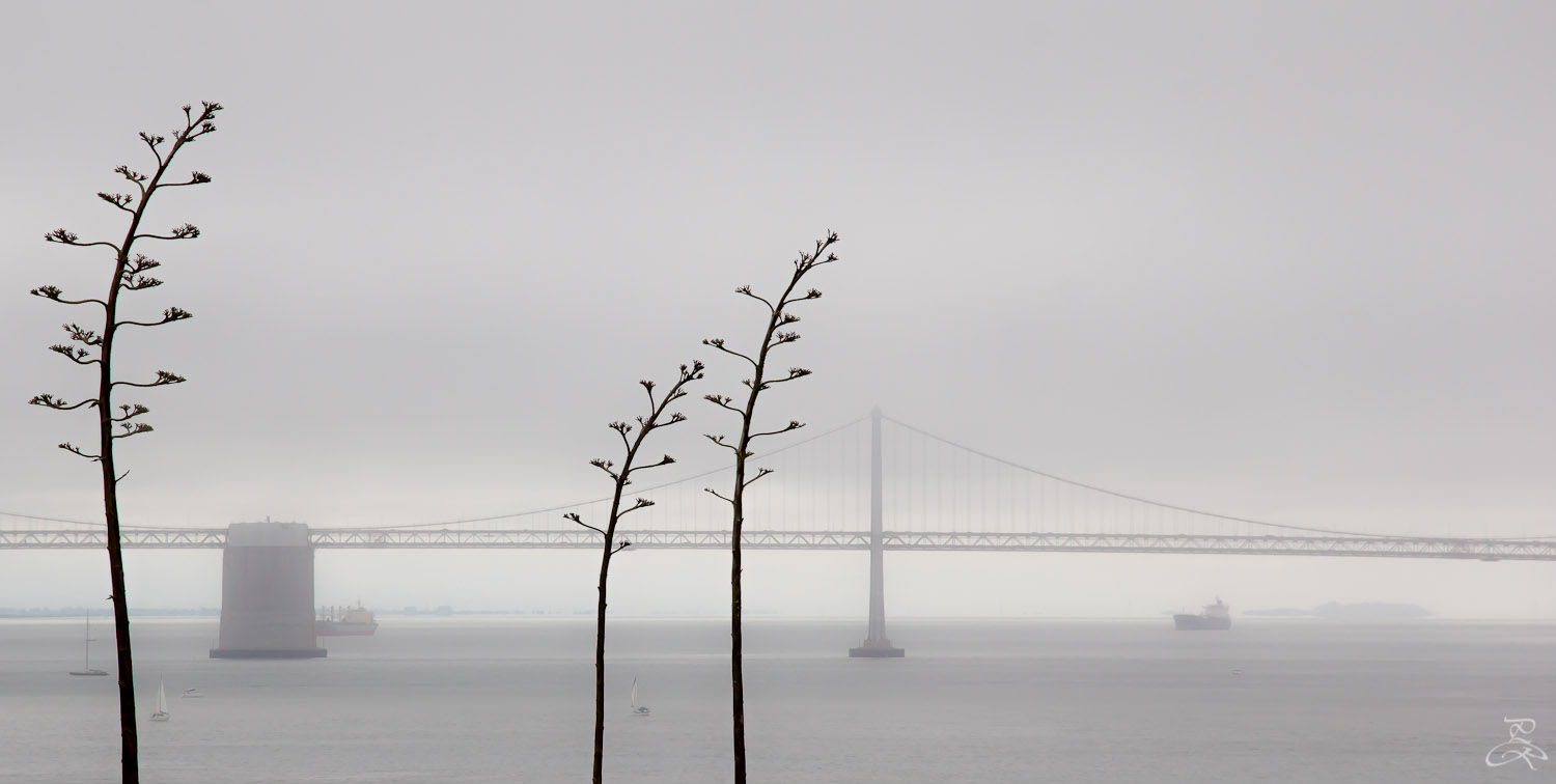 Bay bridge from Alcatraz, San Francisco, CA