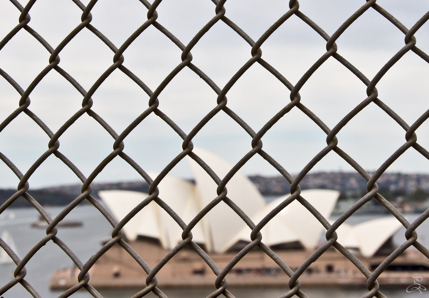 Caged Sydney. Australia.