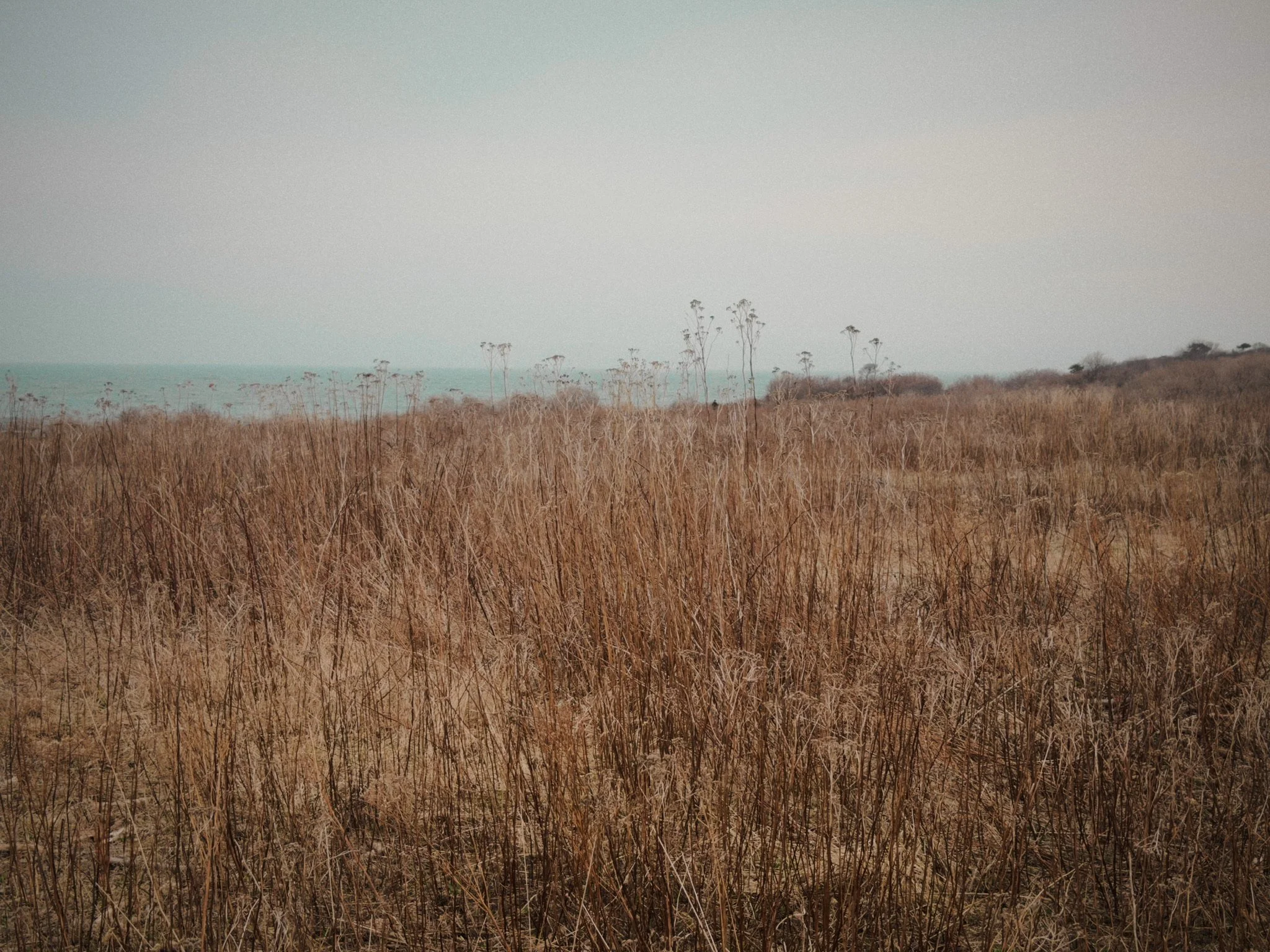 0FD9189C-4428-489E-9301-14147F1075D1_1_102_o.jpeg