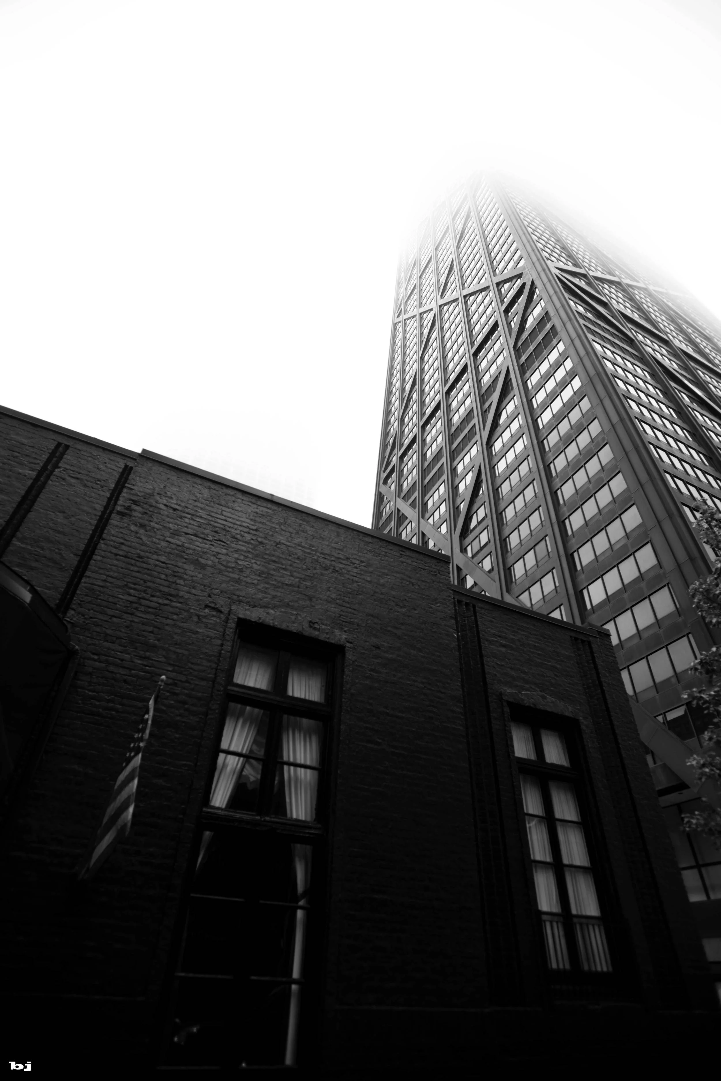 _DSC0713.jpg