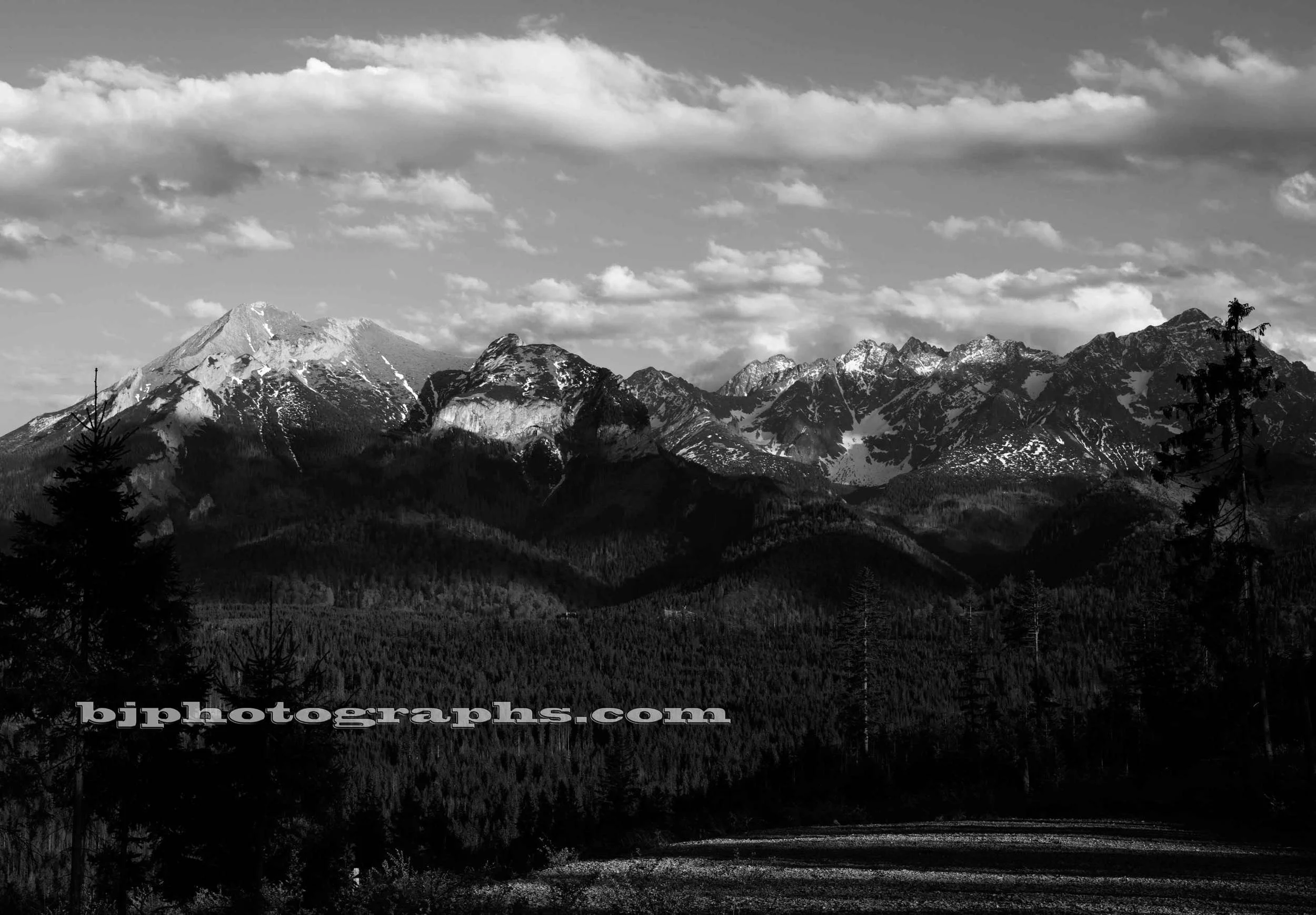 _DSC0812.jpg