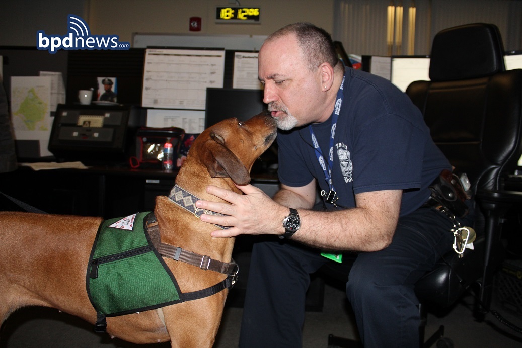 THERAPyDOG3.jpg