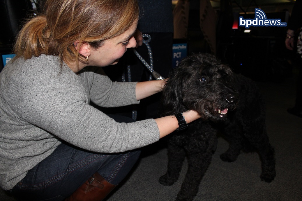 THERAPyDOG5.jpg