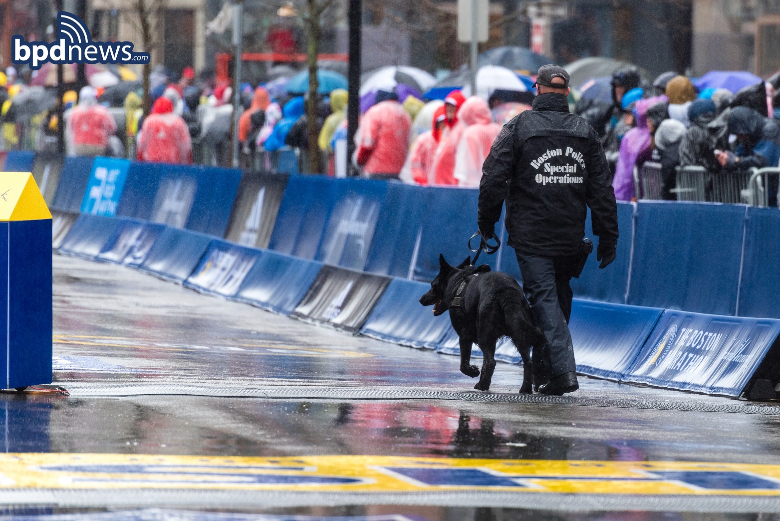 MARATHON7.jpg