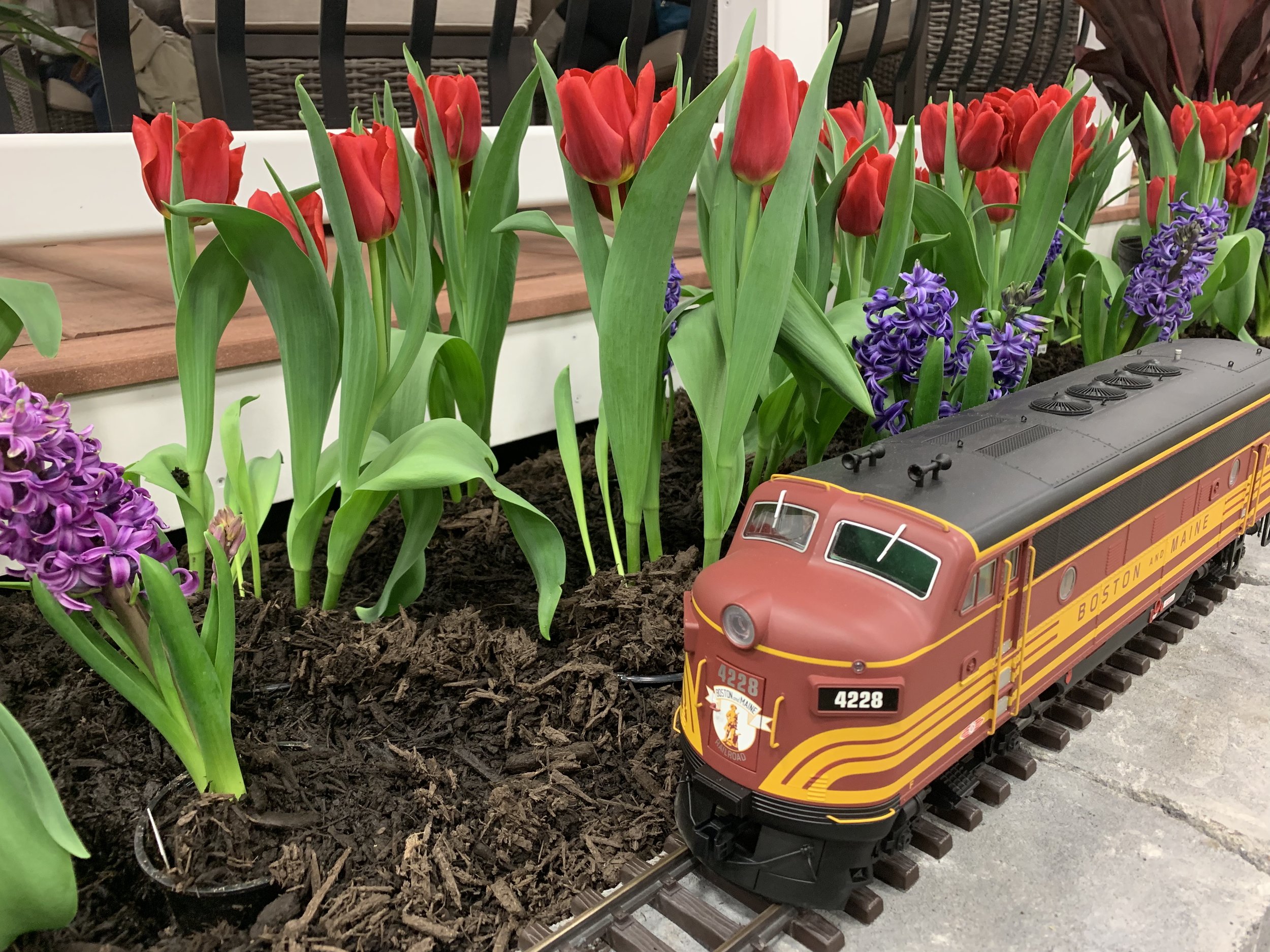 Home And Flowers Shows In March 2018 Lehigh Valley Garden