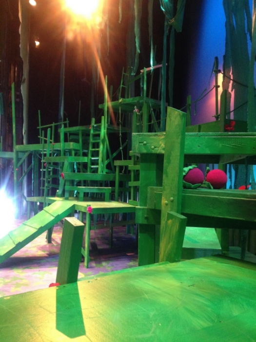 A shot of the set from onstage right.