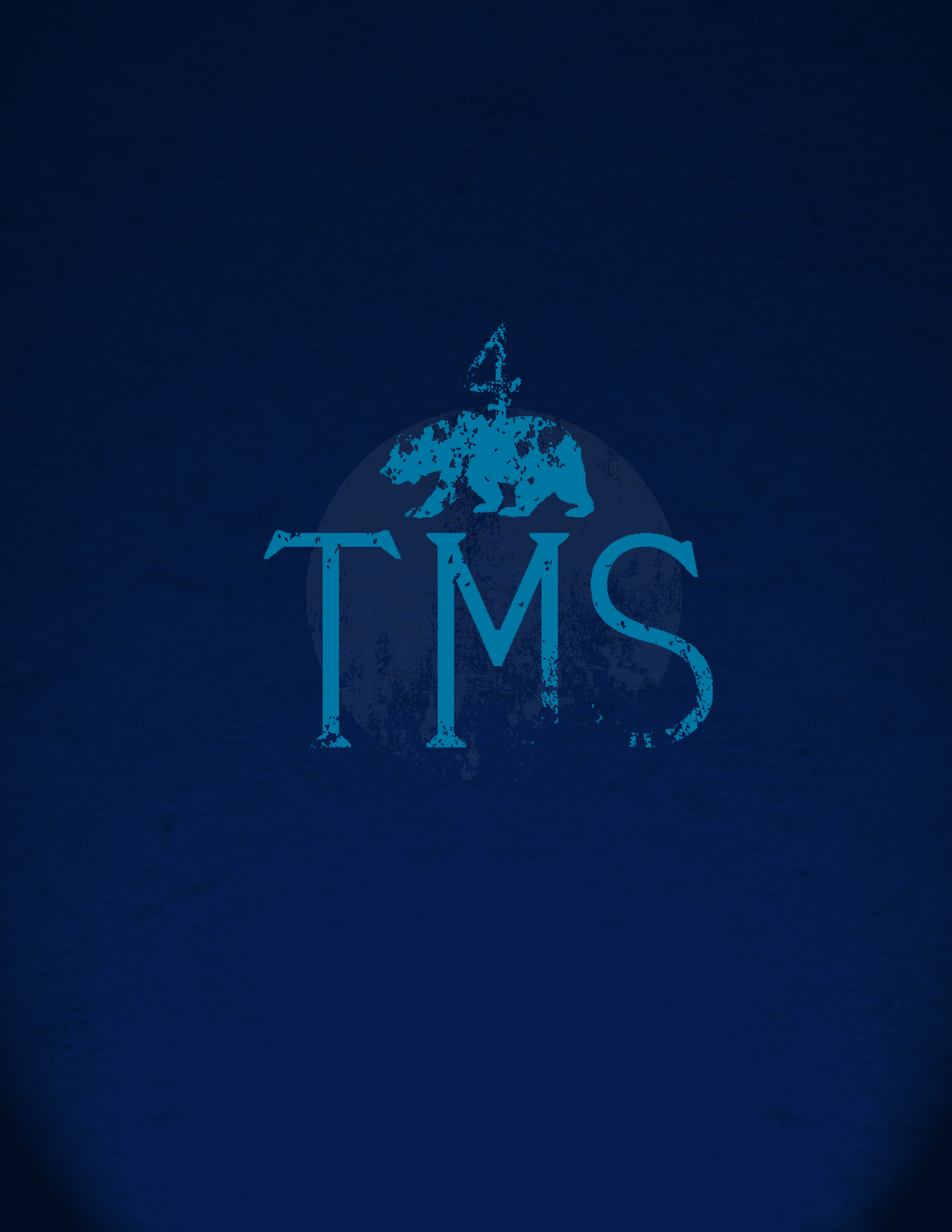 tms 5 worn_blue2.jpg