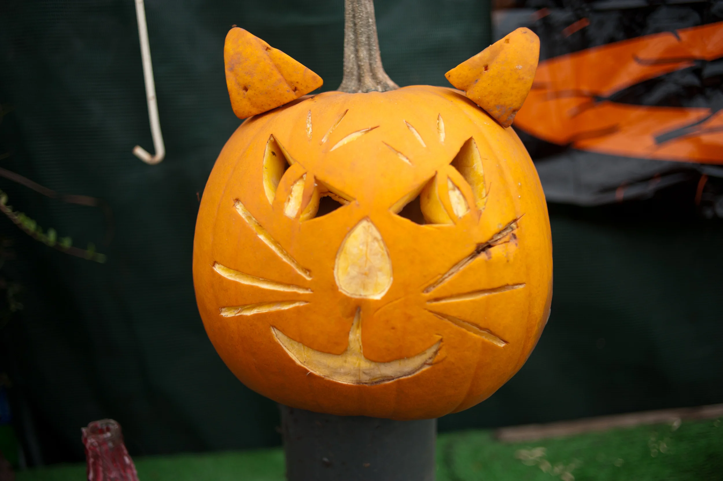 DSC_7822.jpg