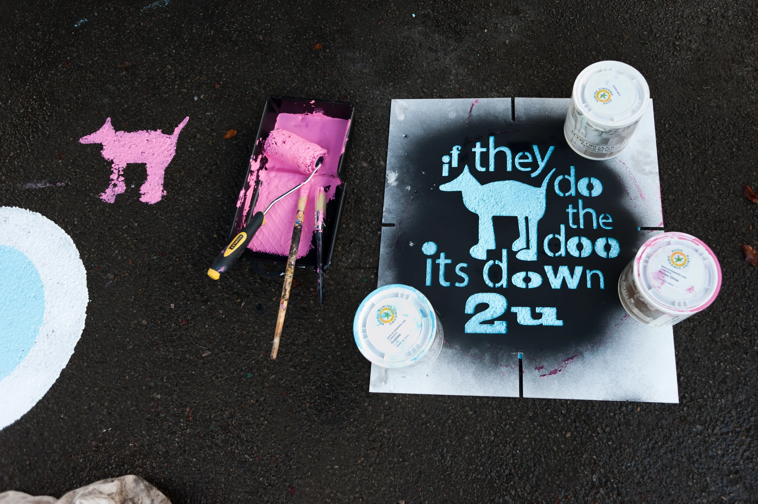 DSC_5604.jpg
