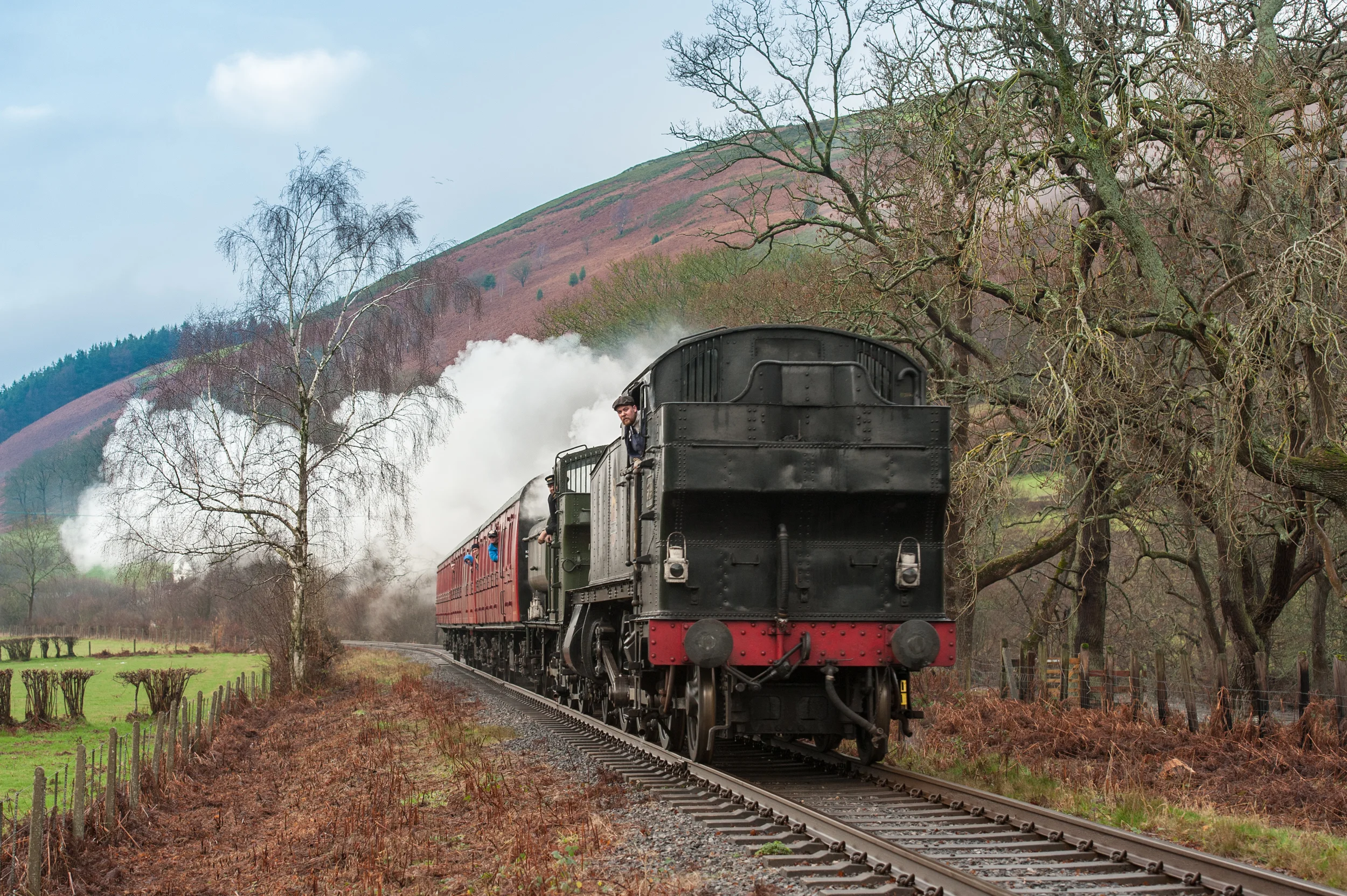 DSC_1902.jpg