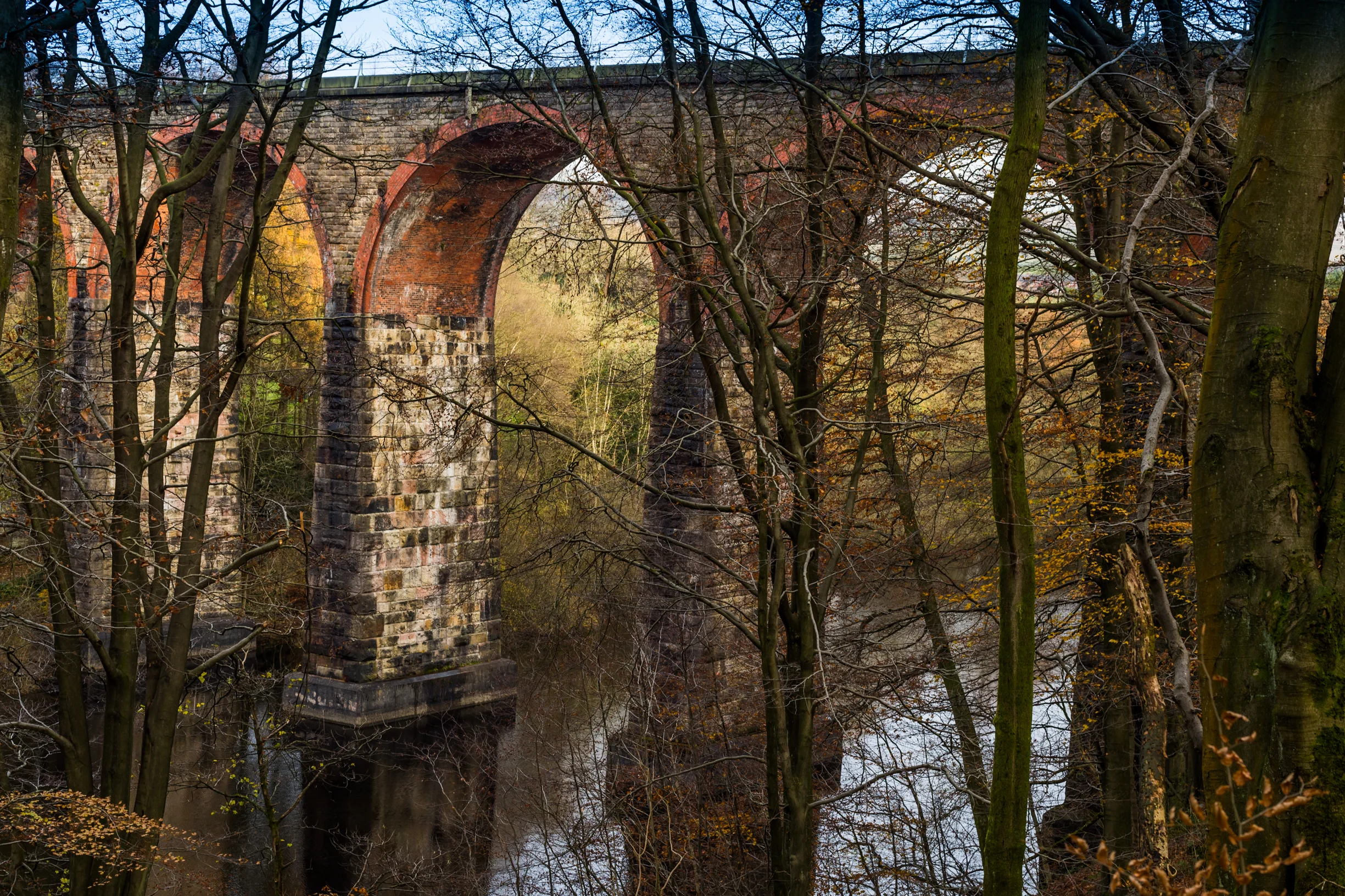 I wouldn’t normally take a picture with so many distracting elements in the foreground. But this is autumn, the branches are empty now, and it seemed natural to try this frame for the sake of the record. Or was it perhaps the magic 50mm inviting me to ‘risk it’? :) 