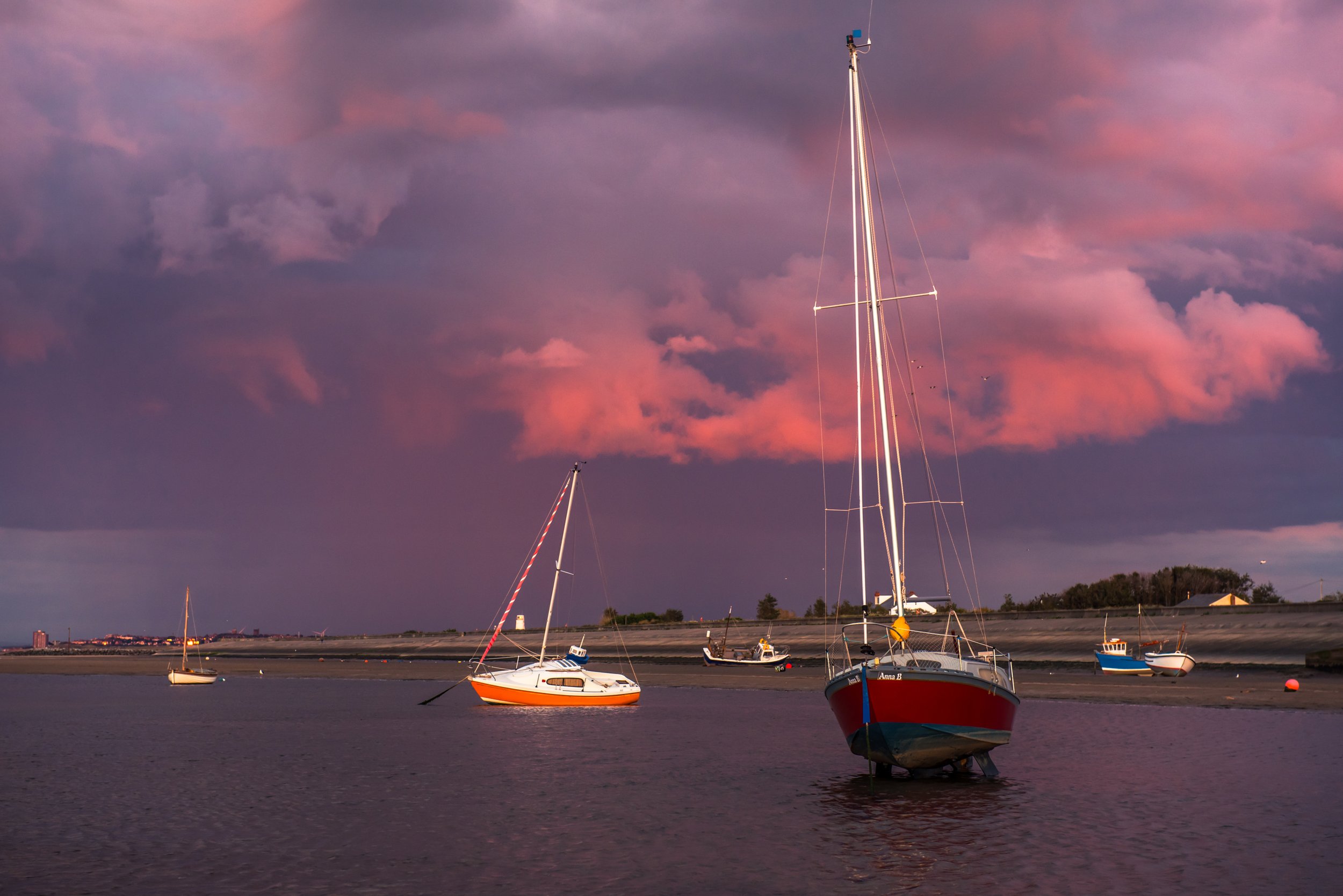 DSC_2217.JPG