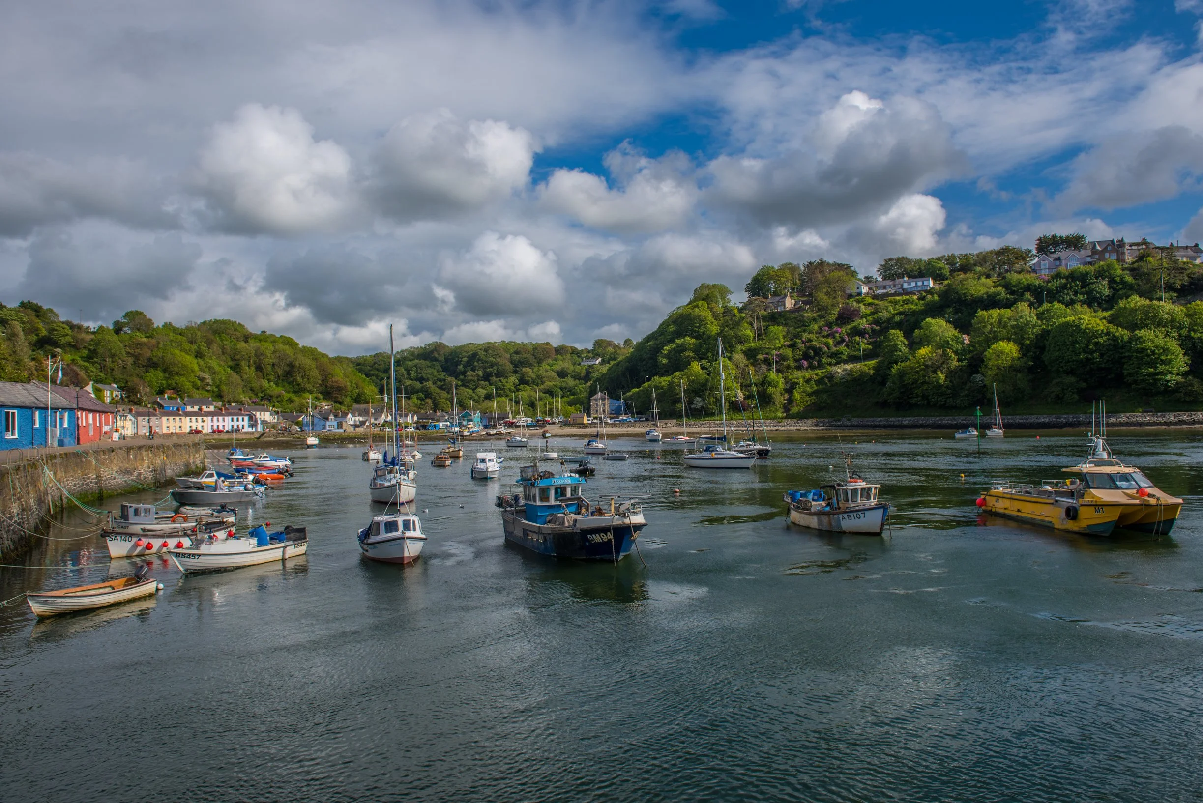 DSC_2060-2.JPG