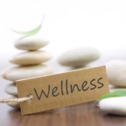 wellness-and-balance.jpg