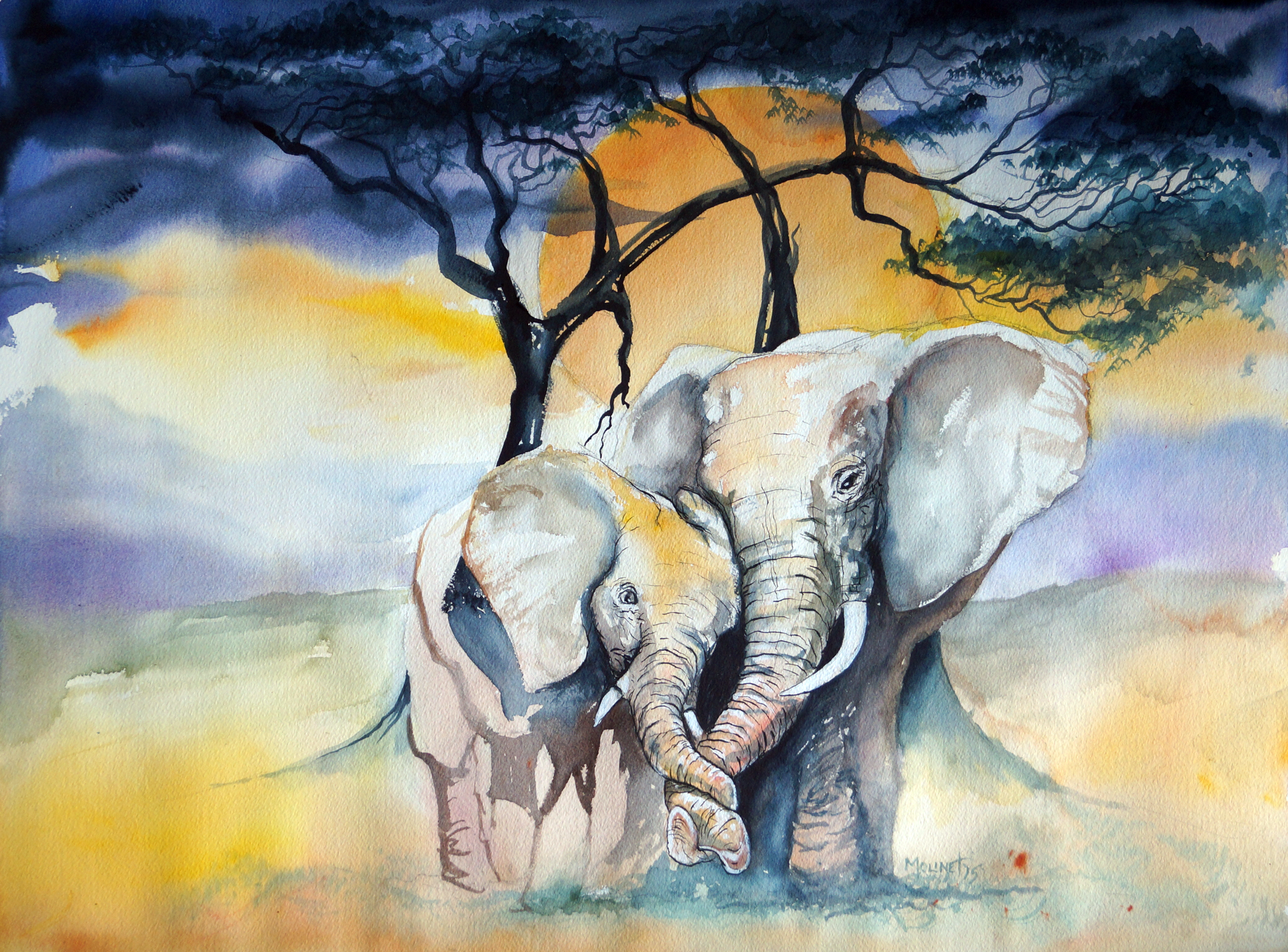 elephants.png