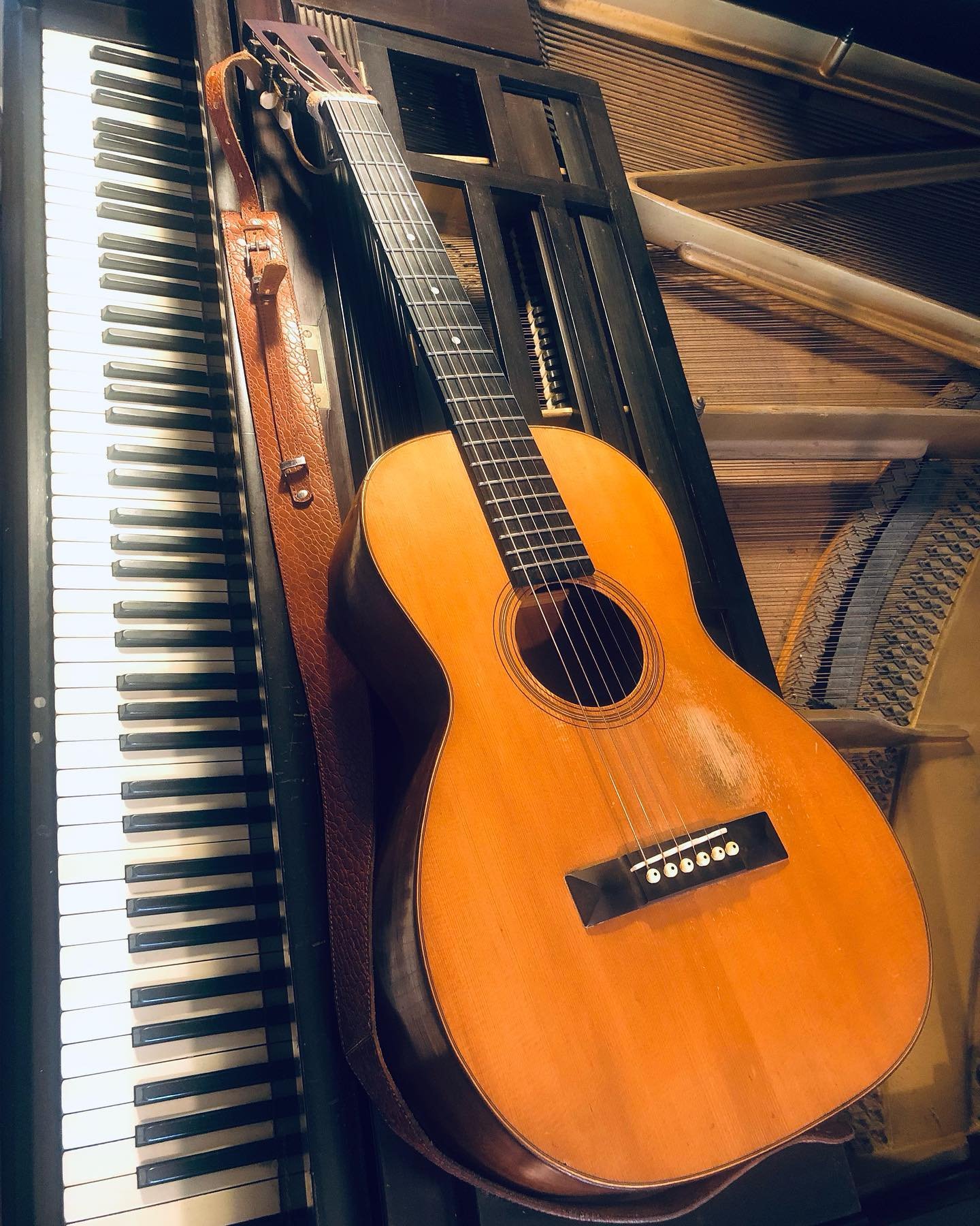 old growth, old friends. 

#1925martin0018 #1902bl&uuml;thner
