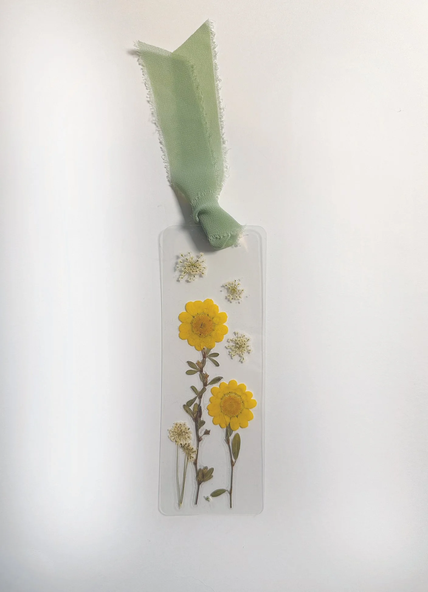 bm_yellowdaisies_sage.jpg