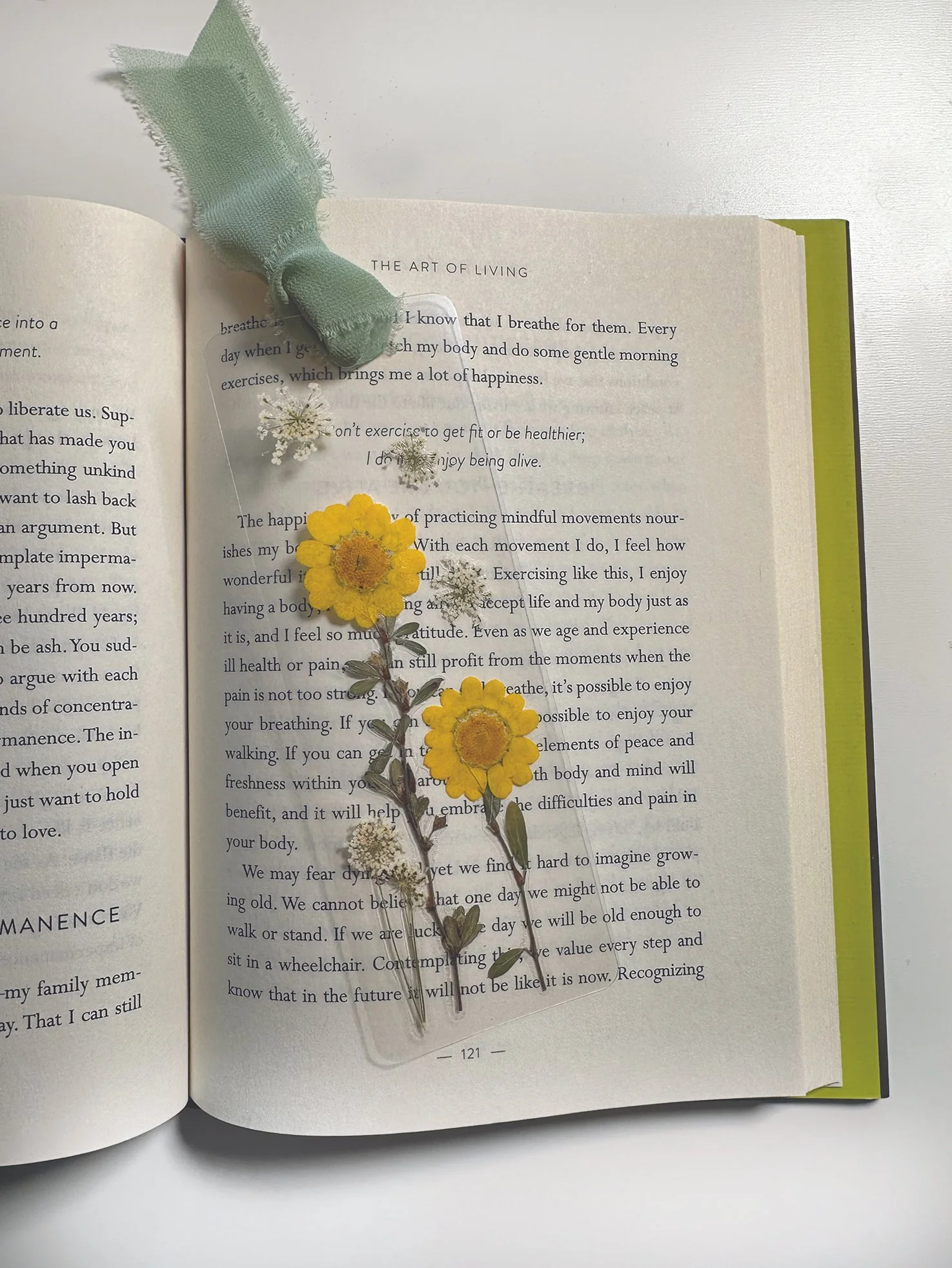 Daisy Days  Bookmark