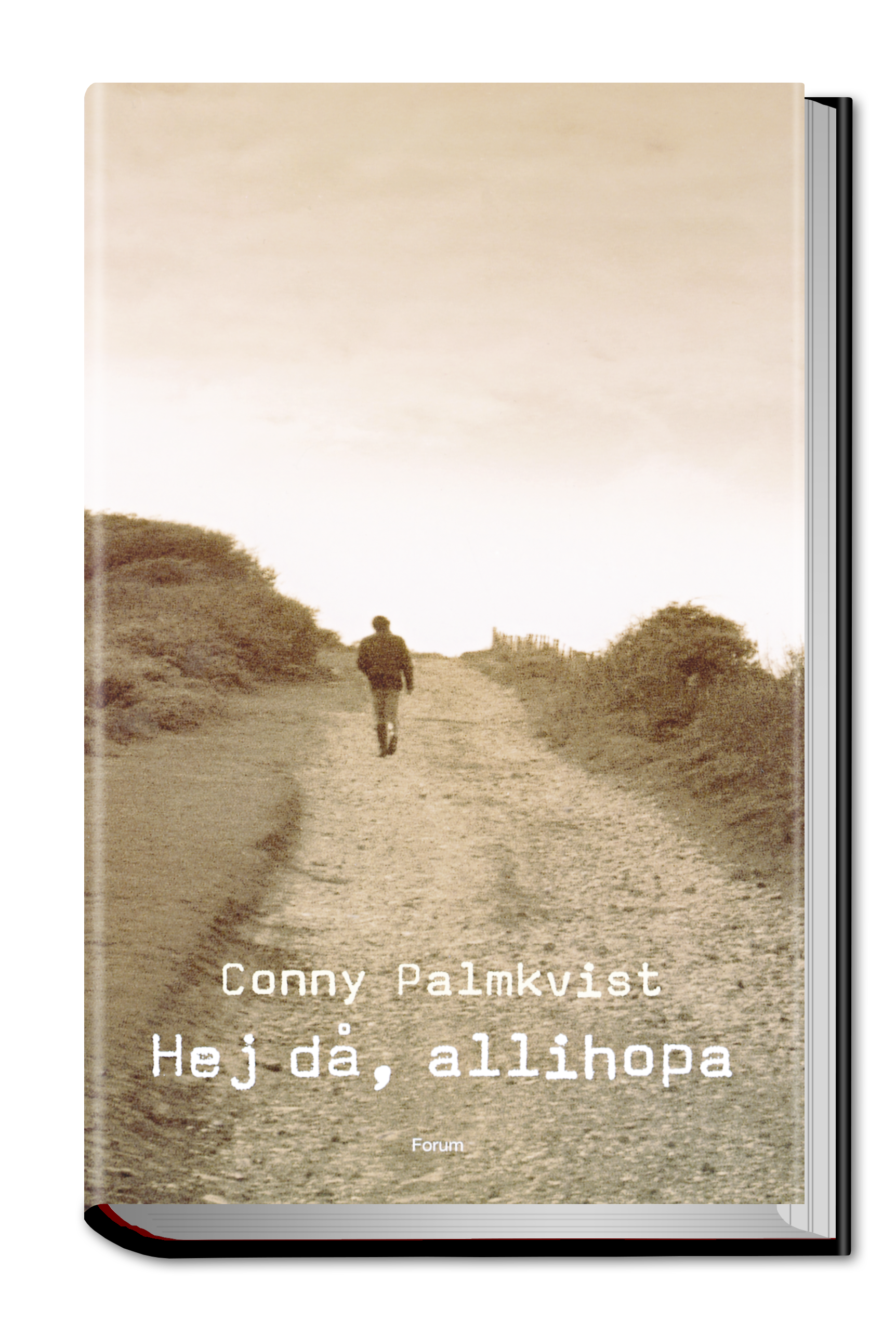 Hej då, allihopa (2005)