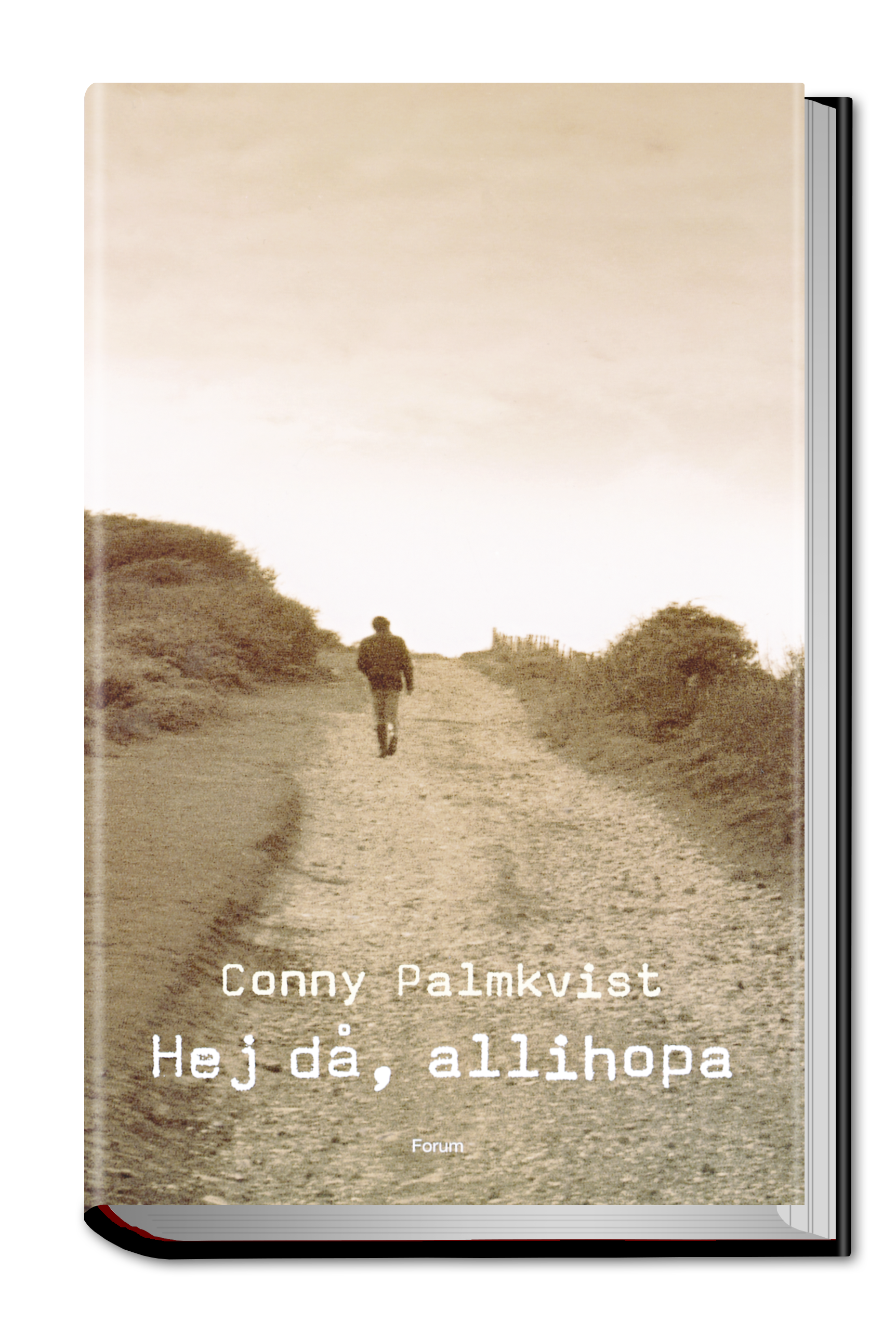 Hejda.png