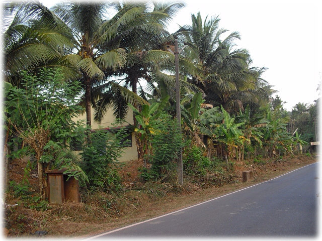 Love for nature has shown up and many parts of our campus has been painted 'lush green'; like the front view shown here.