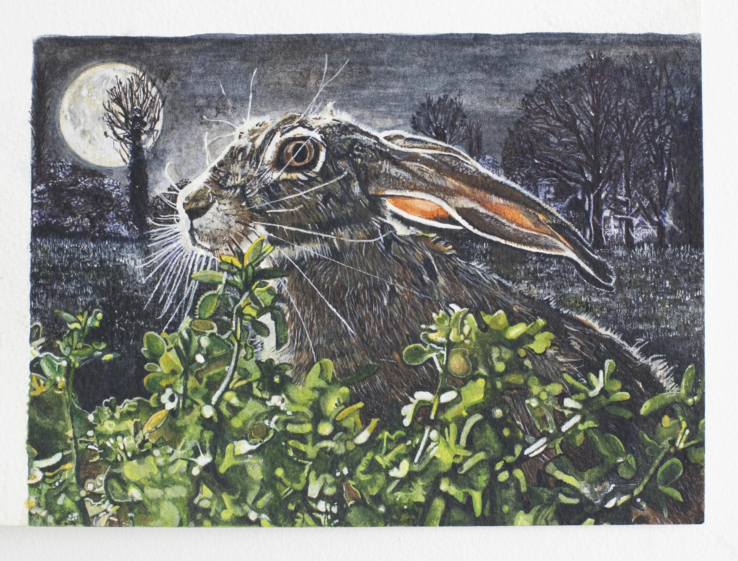 Hare, Moon, Ash