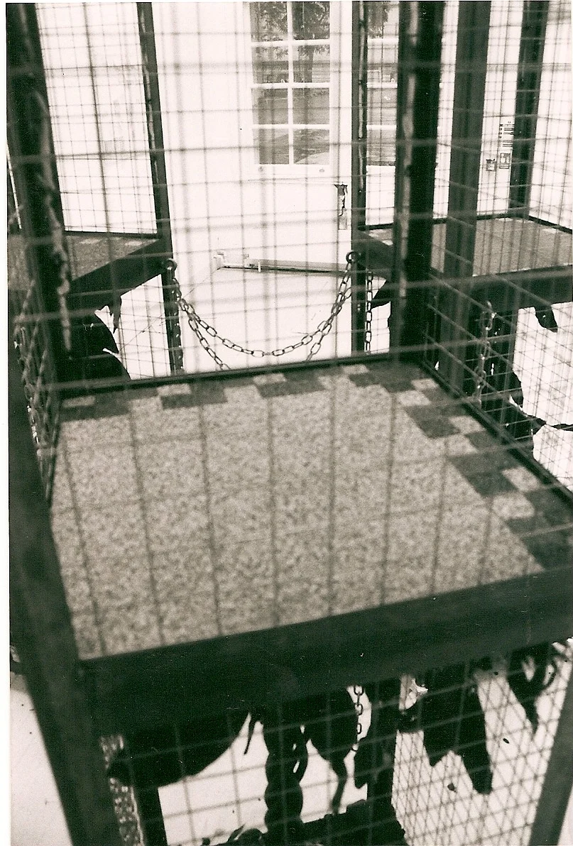 12ft X 2ft three of. welded Steel angle. Steel Chain. Steel mesh.Tarmac. Plants. Spray paint. Carpet tiles. Castor's. 