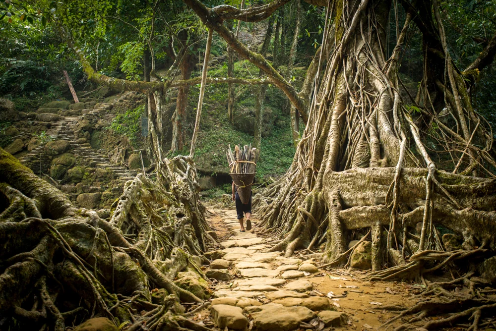 A local carrying wood across the bridge. They are not for show, they are an integral part of the 'highway' infrastructure.