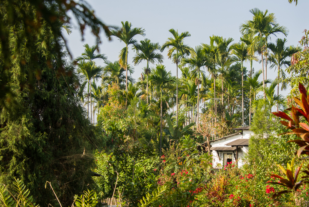 A house in Mawlynnong