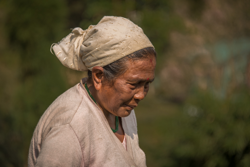 Lady working in tea plantation in India.